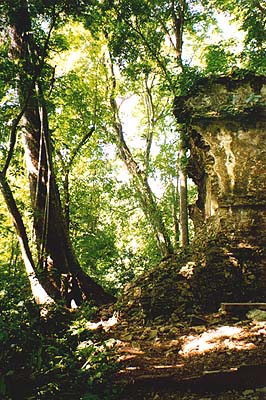 tempel im djungel